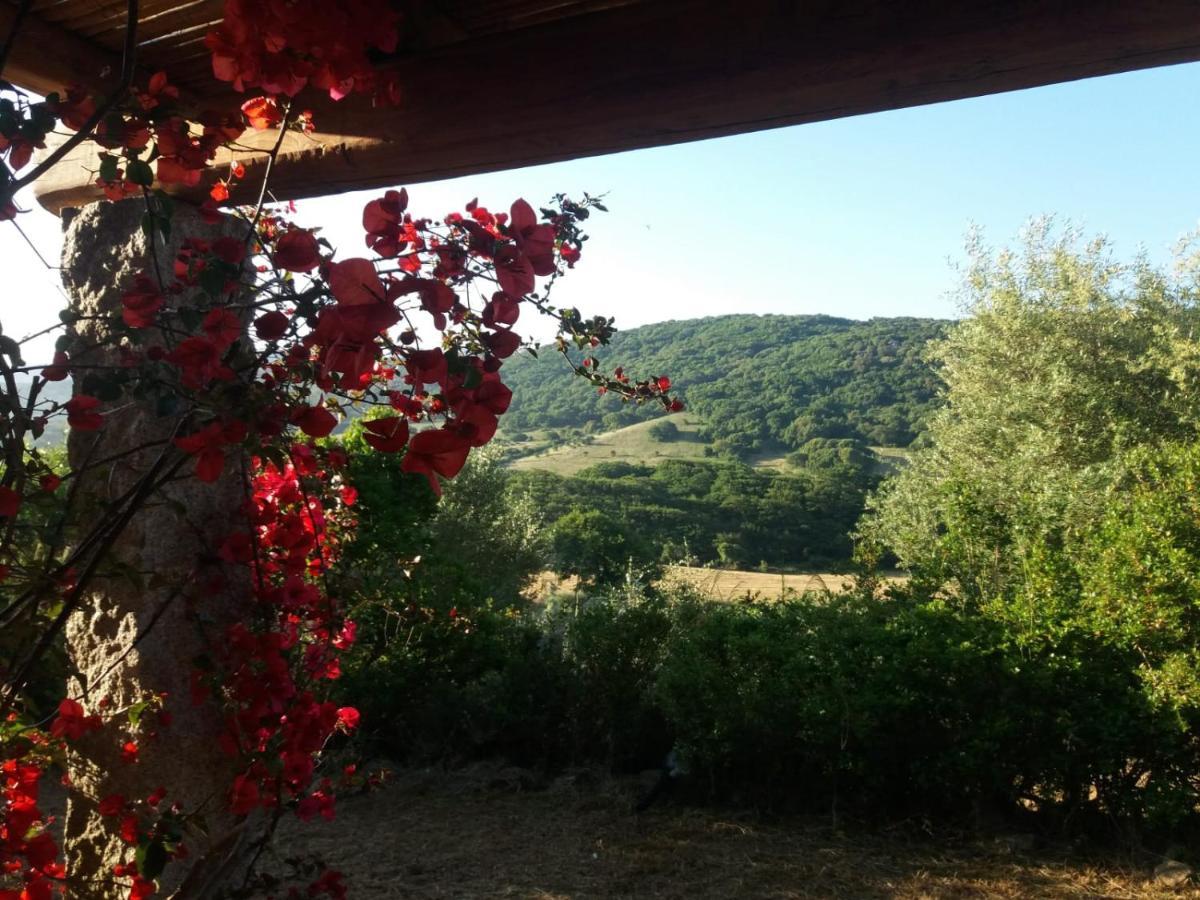 La Puntaccina Villa Aglientu Luaran gambar