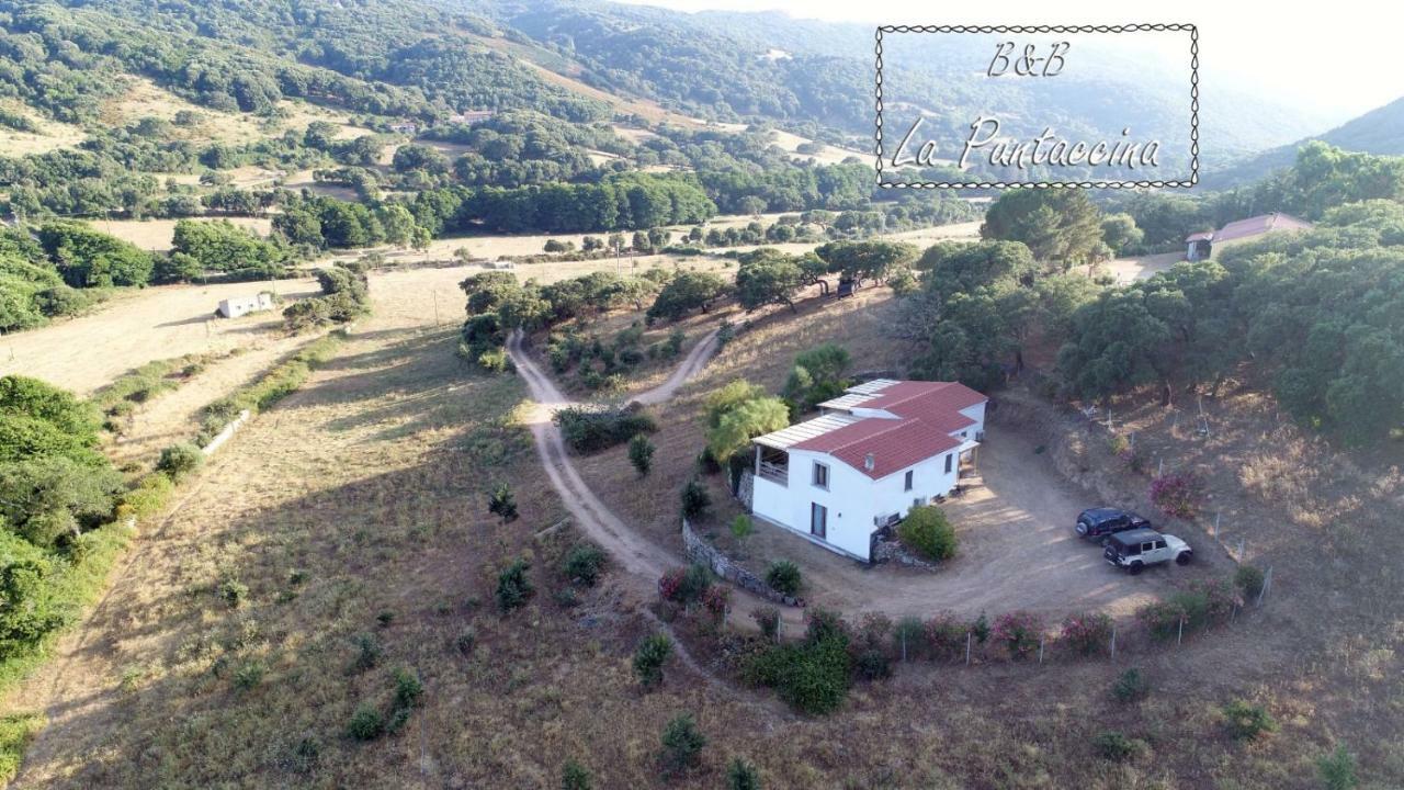 La Puntaccina Villa Aglientu Luaran gambar